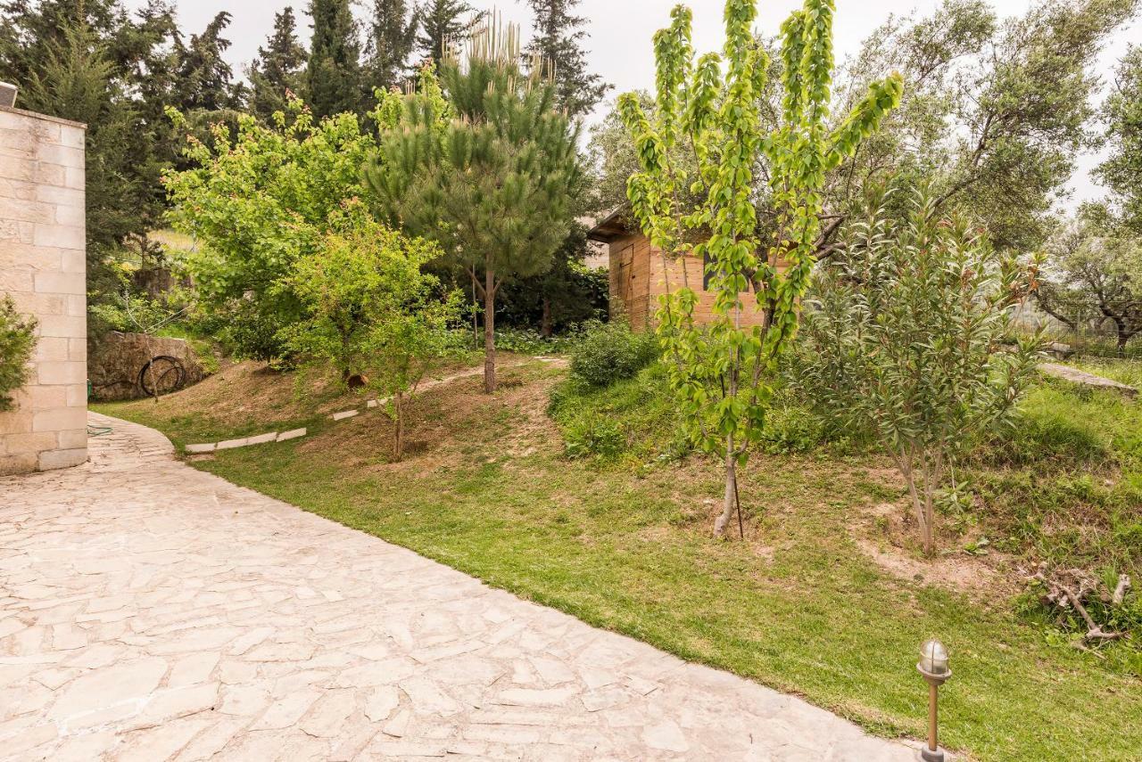 Villa Aloni Fílippos المظهر الخارجي الصورة